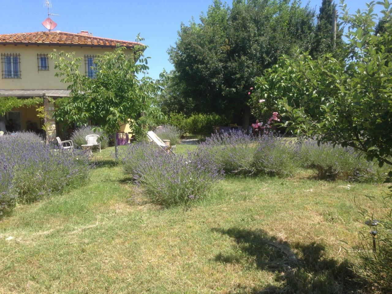 Agriturismo Papageno Rignano sullʼArno Exteriör bild